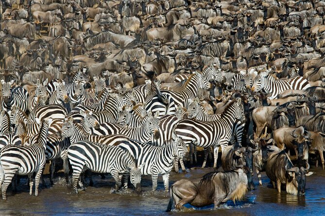 4-Day Tour to Tarangire, Serengeti and Ngorongoro - What the $900 price really covers