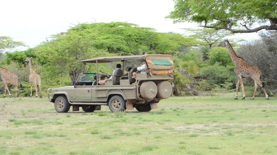 4-Day Zanzibar to Nyerere NP (Selous GR) Flying Package - Day 2: A morning walk, Mloka village, and the Rufiji River