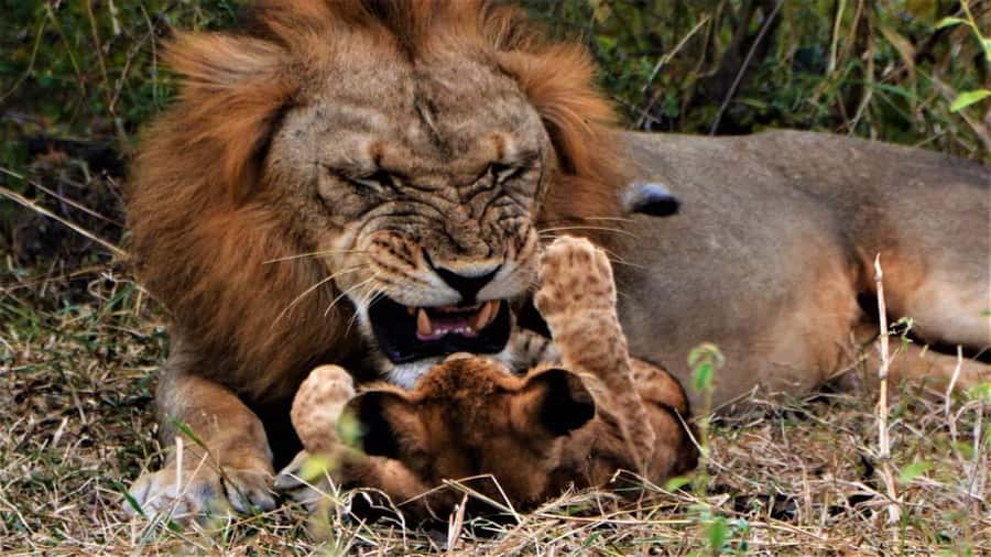 4-Day Zanzibar to Nyerere NP (Selous GR) Flying Package - The Rufiji River from a boat