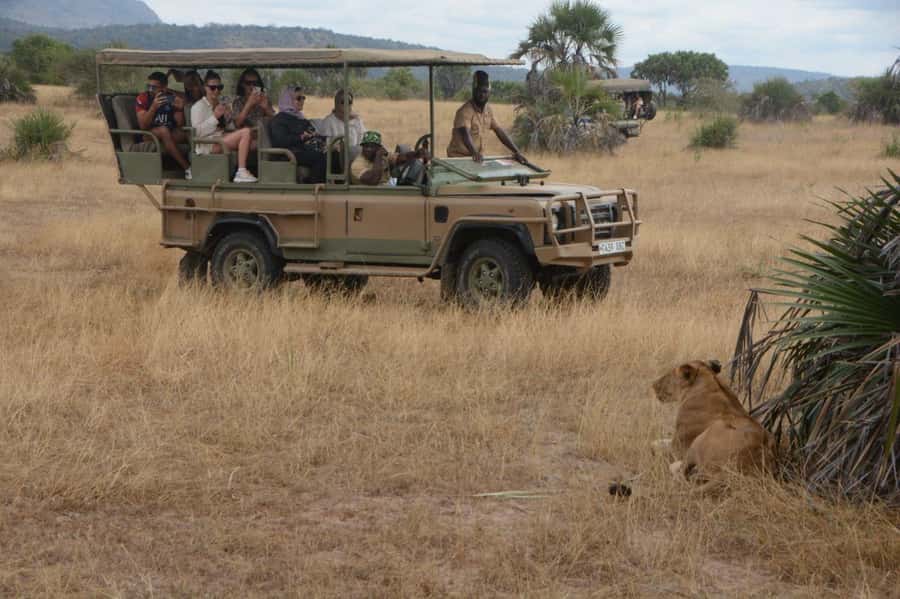 4-Day Zanzibar to Nyerere NP (Selous GR) Flying Package - Day 3: New game-drive routes and the possible hot spring