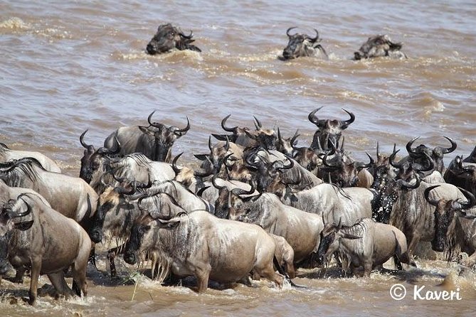 4 Days / 3 Nights Lake Manyara, Ngorongoro and Serengeti - The safari vehicle and daily rhythm