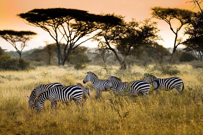 4 Days / 3 Nights Lake Manyara, Ngorongoro and Serengeti - What the $1,700 price really covers