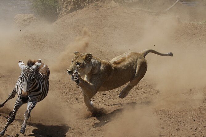 4 days 3 nights Safari- Tarangire, Serengeti and Ngorongoro Crater - The guide can shape the whole experience