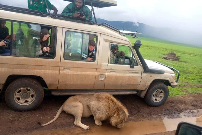 4 Days /3 nights Tarangire, Serengeti and Ngorongoro crater - Day 1: Tarangire and its elephant country