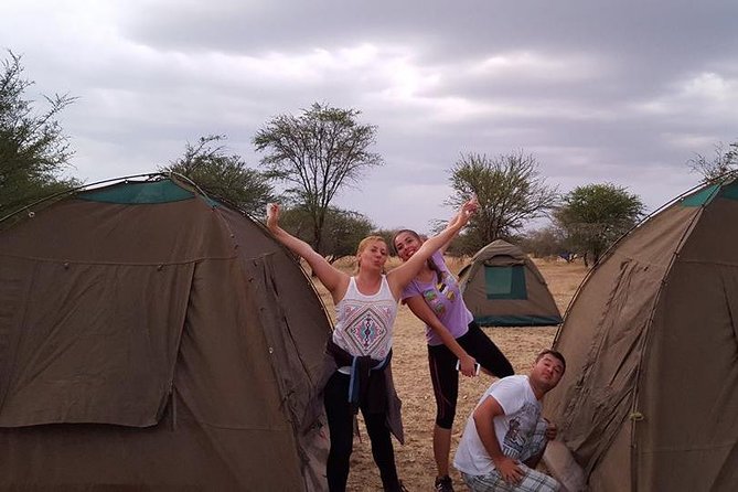 4 Days 3 Nights Tarangire Serengeti & Ngorongoro Lodge Safari - Day 3: A morning in the Serengeti