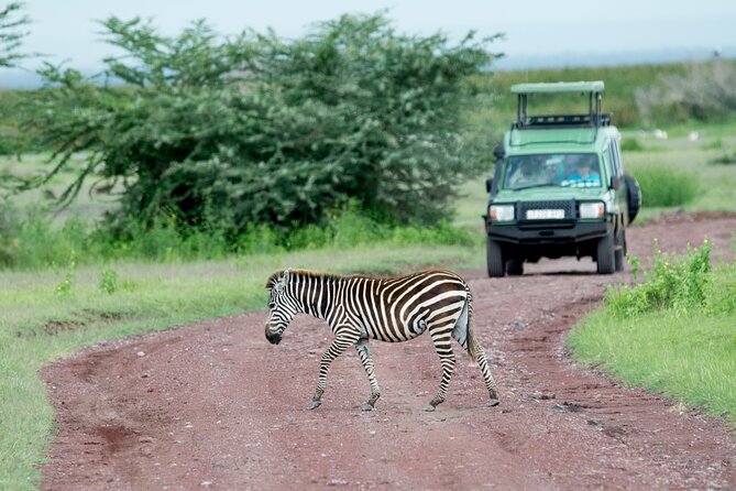 4 days adventure camping safari - What $1,650 buys you in northern Tanzania