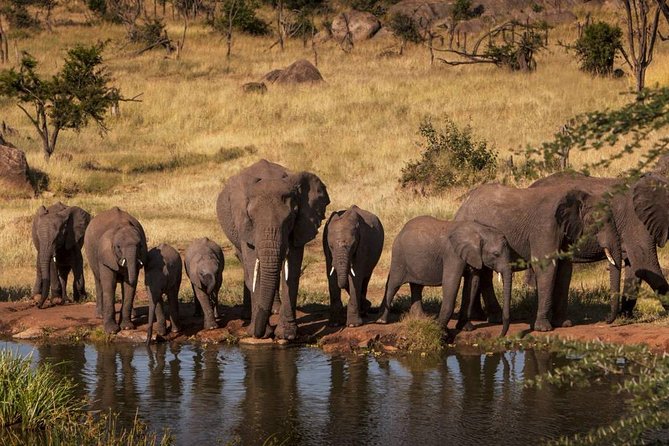 4-Days Adventure Camping Safari to Tarangire, Serengeti & Ngorongoro - Why this four-day route works