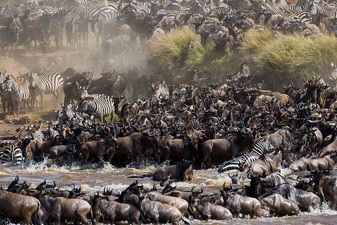 4-Days Adventure Camping Safari to Tarangire, Serengeti & Ngorongoro - Day 4: Searching for the Big Five in Ngorongoro Crater
