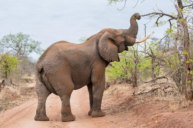 4-Days Adventure Camping Safari to Tarangire, Serengeti & Ngorongoro - The hard parts of the schedule