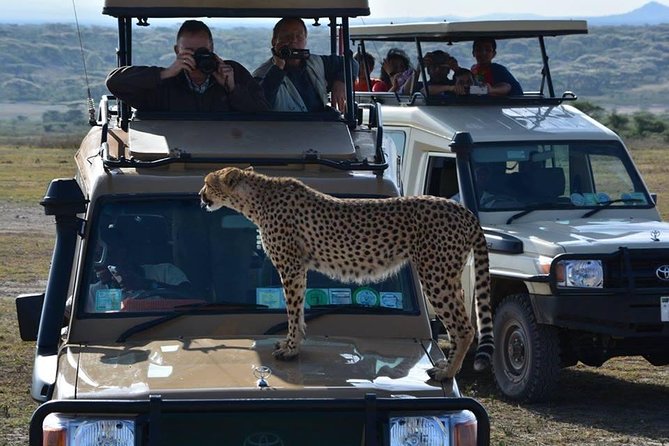 4-Days Adventure Camping Safari to Tarangire, Serengeti & Ngorongoro - Day 1: Tarangire’s elephants and baobab country
