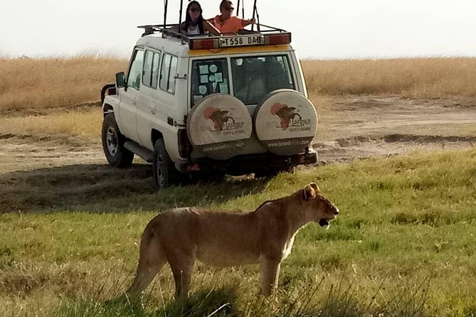 4 Days Affordable Tanzania Budget Safari - What $1,500 Covers