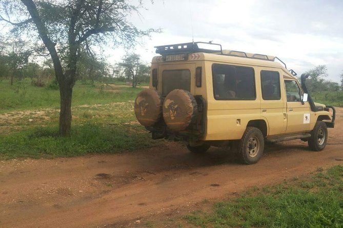 4 Days Affordable Tanzania Budget Safari - The Long Push Toward Serengeti