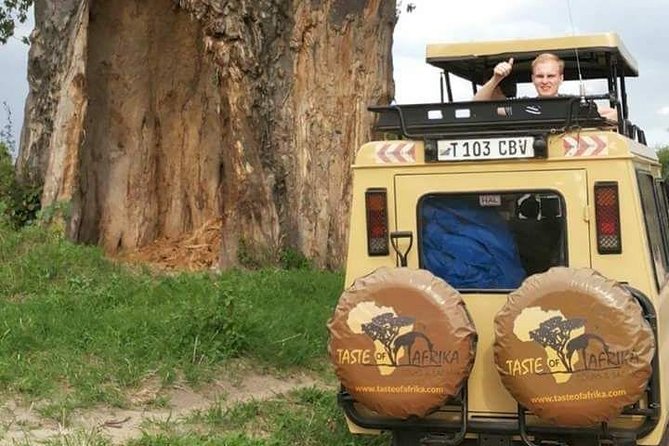 4 Days Affordable Tanzania Budget Safari - Tarangire: Elephants and Baobab Country