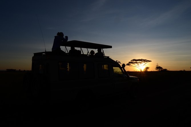 4 days Authentic honeymoon safari Serengeti and ngongoro crater - Day 4: Wildlife inside Ngorongoro Crater