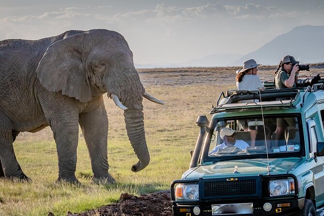 4 days Awesome Luxury safari Tarangire Serengeti & Ngorongoro - From the highlands to the Serengeti plains