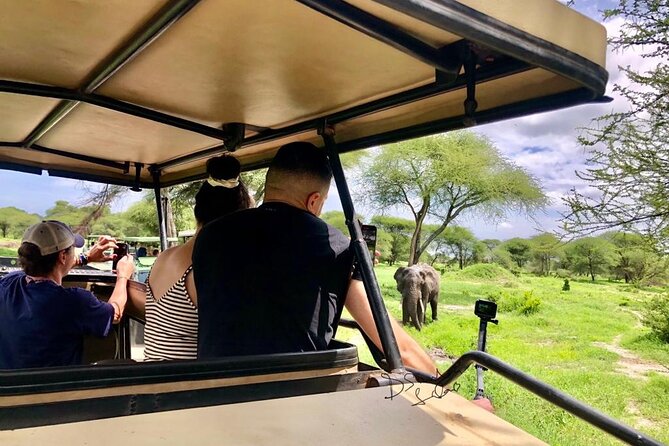 4 days Awesome Luxury safari Tarangire Serengeti & Ngorongoro - Who should choose this four-day route?