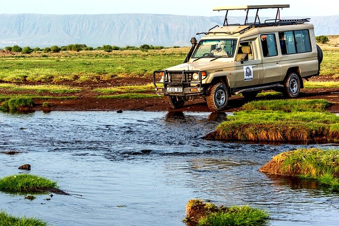 4 Days Best Budget Tanzania Camping Safaris - Day 1: Tarangire’s elephants and a long first day