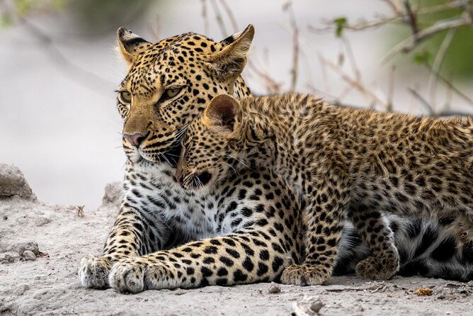 4 Days Best Budget Tanzania Camping Safaris - Day 4: Mto wa Mbu and a different kind of safari