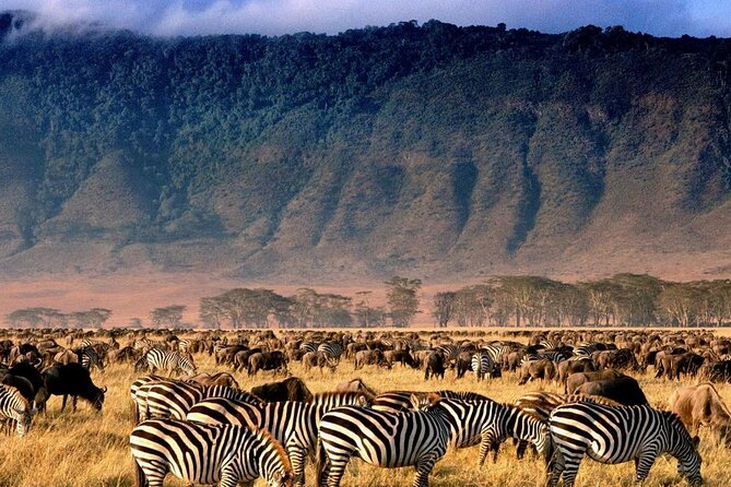 4 Days Best Budget Tanzania Camping Safaris - Who will enjoy this safari most
