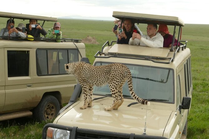 4 Days Big 5 Tour & Cultural Experience - The private setup and what it means for you