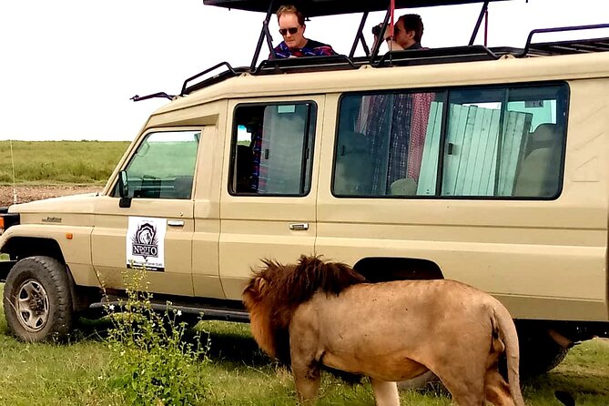 4 Days Budget Camp Safari Serengeti, Ngorongoro Crater and Tarangire Park - Day 2: Ngorongoro Crater, then onward to Serengeti
