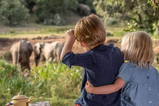 4-Days Bush to Bush Authentic Budget Safari - How the Pop-Up-Roof 4x4 Shapes the Experience