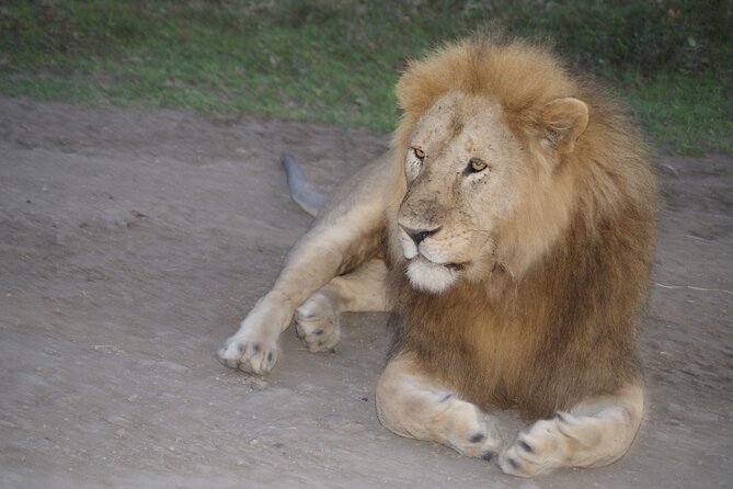 4 Days Group Camping Safari - Key points to know before booking