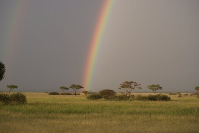 4 Days Group Camping Safari - Day three: An early Serengeti drive and the road toward Ngorongoro