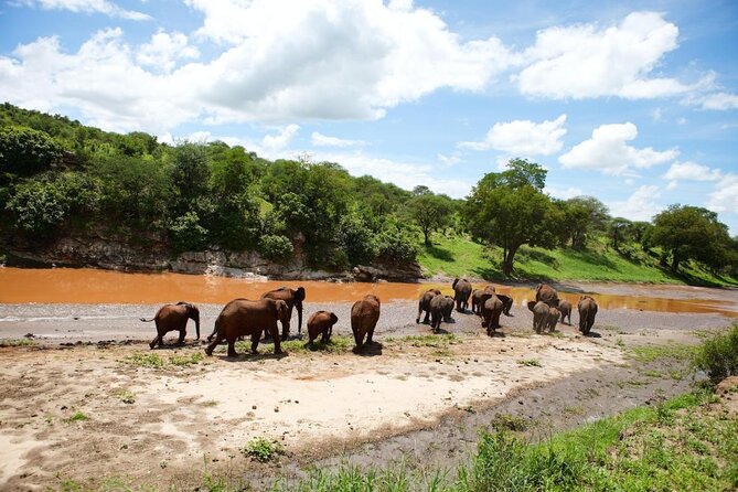 4 Days Group Joining Camping Safari to Tarangire Serengeti Ngorongoro Crater - What makes this safari worth considering