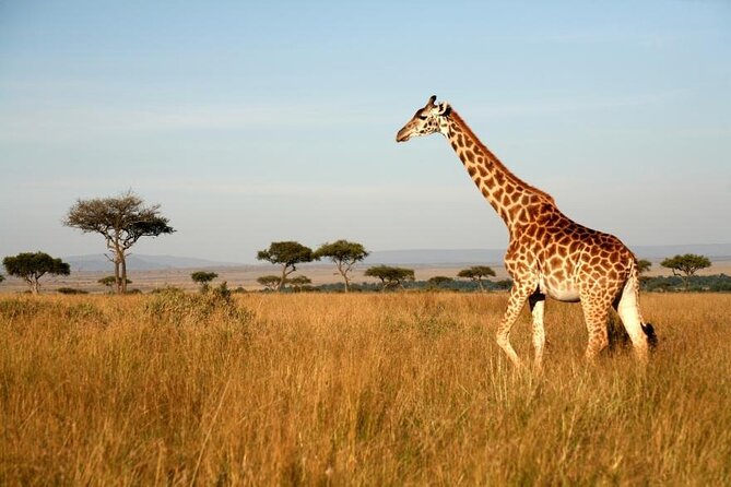 4 Days Group Joining Camping Tanzania safari - Day two: the long road into Serengeti