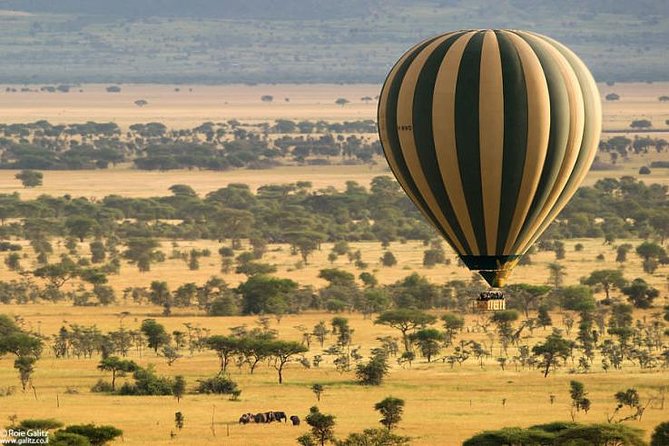 4 days Join Group safari in Serengeti, Ngorongoro and Lake Manyara National Park - The main tradeoffs to consider