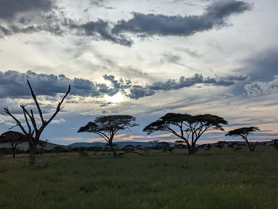 4 Days Join-In Safari: Big Five & Great Plains - Why this route works in only four days