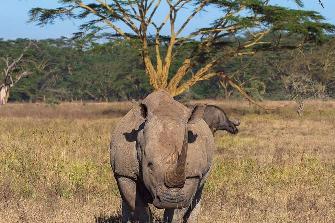 4 Days Joined Group Safari Serengeti,Ngorongoro and Tarangire National Parks - Pickup, communication, and service