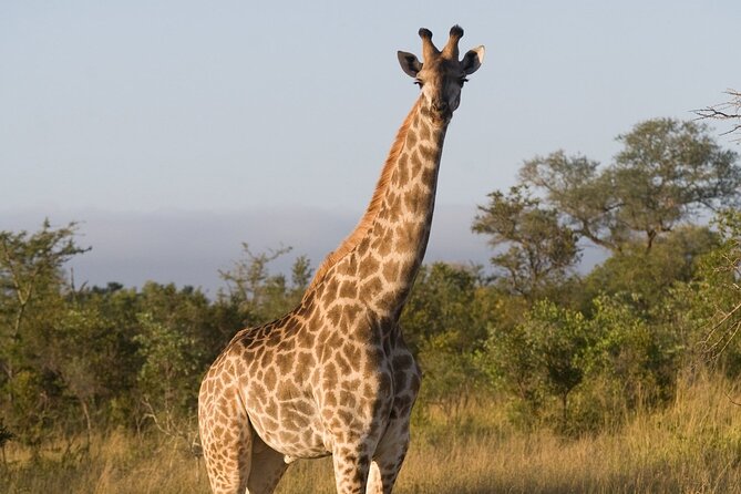 4 Days - Lake Manyara, Serengeti and Ngorongoro Crater - Who will enjoy this safari most