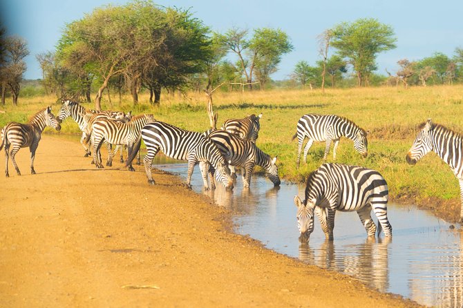 4 Days Lodge Safari - Day three gives you a dawn game drive and crater views