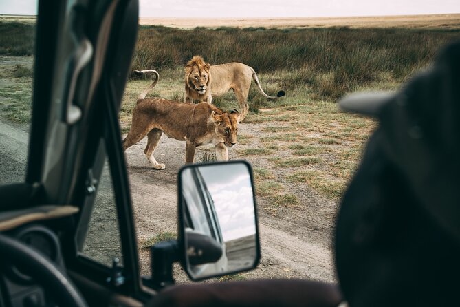 4 Days Lodge Safari in Lake Manyara, Serengeti & Ngorongoro Crater - Why this short northern circuit works