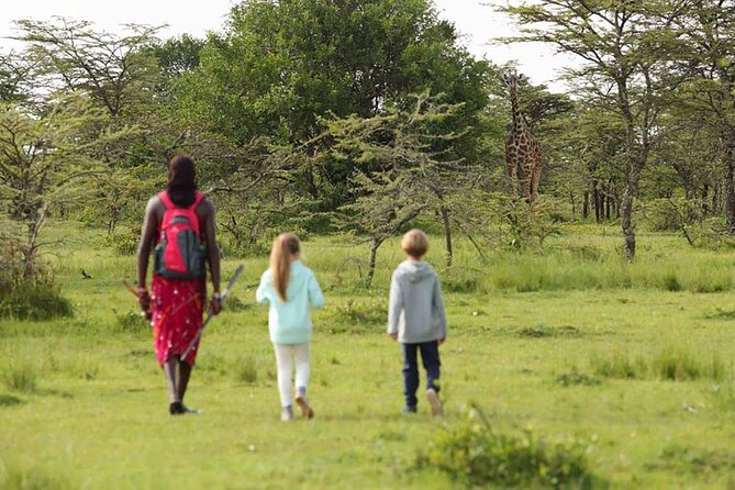 4 Days lodge safari Tarangire , Ngorongoro crater & Walking - Day 1: Materuni Waterfalls and the slopes of Kilimanjaro