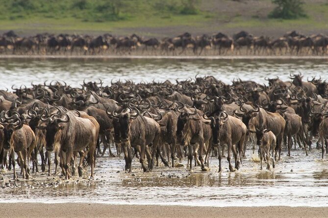 4 Days Lodges Serengeti, Ngorongoro Crater & Visiting Maasai - What the $1,500 price includes