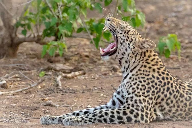 4 Days Luxury Lodge Safari Tour Tanzania - What the $2,550.39 price really buys you