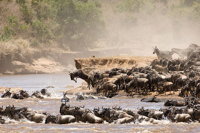 4 Days Luxury Lodge Safari Tour Tanzania - Day 1: Tarangire elephants after breakfast