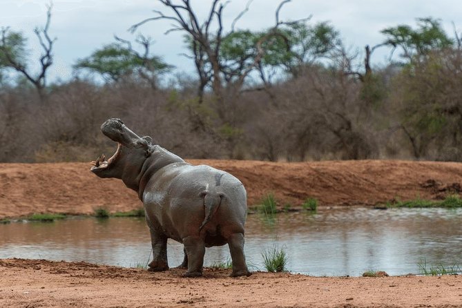 4 Days Luxury Lodge Safari Tour Tanzania - The vehicle, meals, and daily rhythm