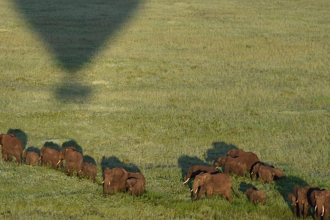 4 days luxury safari (a dream experience) - The guides and service make a real difference
