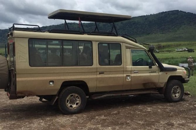 4 days luxury safari (a dream experience) - Day 1: First game drive after landing in Serengeti