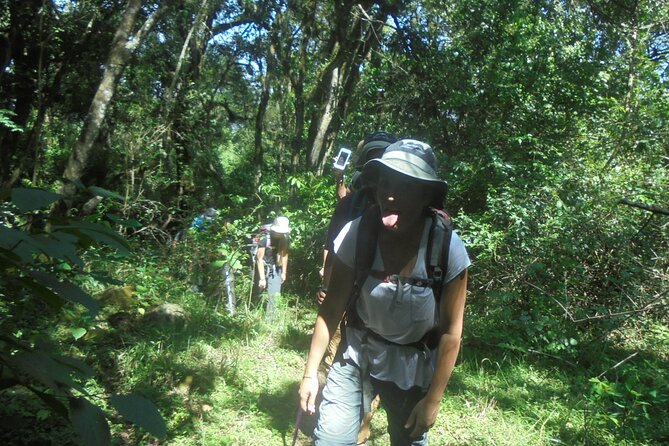 4 Days Mount Meru Climbing | Hiking | Trekking Tour - Day 4: Returning through forest and grassland