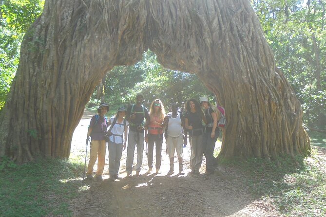 4 Days Mount Meru Climbing | Hiking | Trekking Tour - Food, huts, and the practical rhythm of the climb
