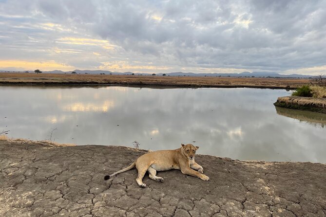 4 days Ngorongoro crater, Tarangire and Serengeti national park - Why this three-park route works