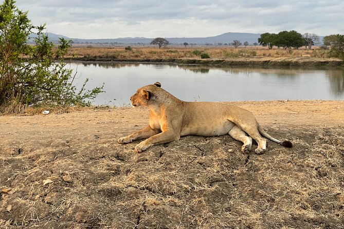 4 days Ngorongoro crater, Tarangire and Serengeti national park - Ngorongoro Crater in a short safari