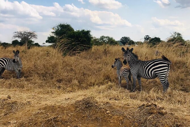 4 days Ngorongoro crater, Tarangire and Serengeti national park - The four-day pace and what to pack for