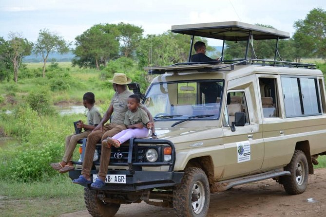 4 days Ngorongoro crater, Tarangire and Serengeti national park - Tarangire’s elephants and the value of a small group