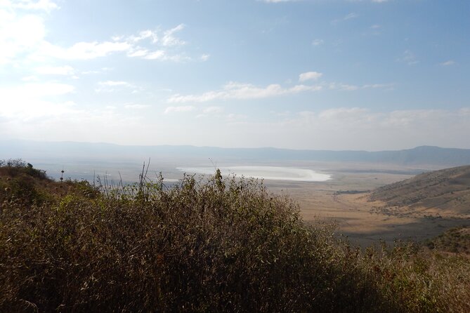 4 Days Ngorongoro & Serengeti Safari from Arusha - The guide can shape the quality of the trip